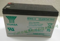 臺灣湯淺REW系列